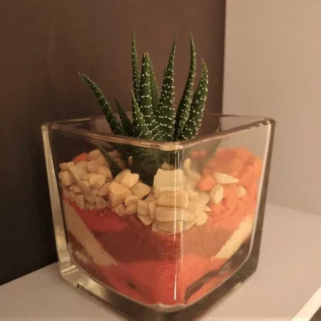 Due Petali Hébergement de vacances