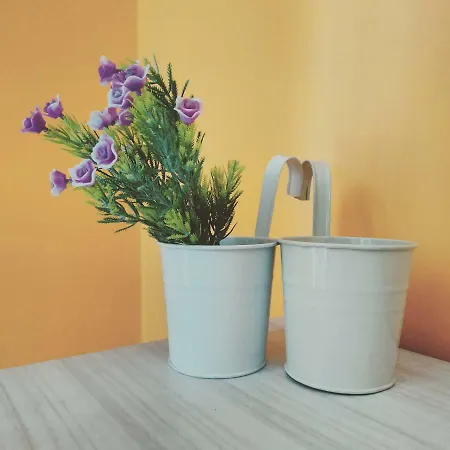 Due Petali Hébergement de vacances